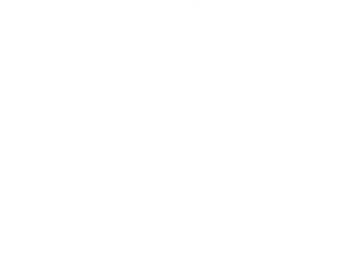 Cloncurry Vet Services Logo