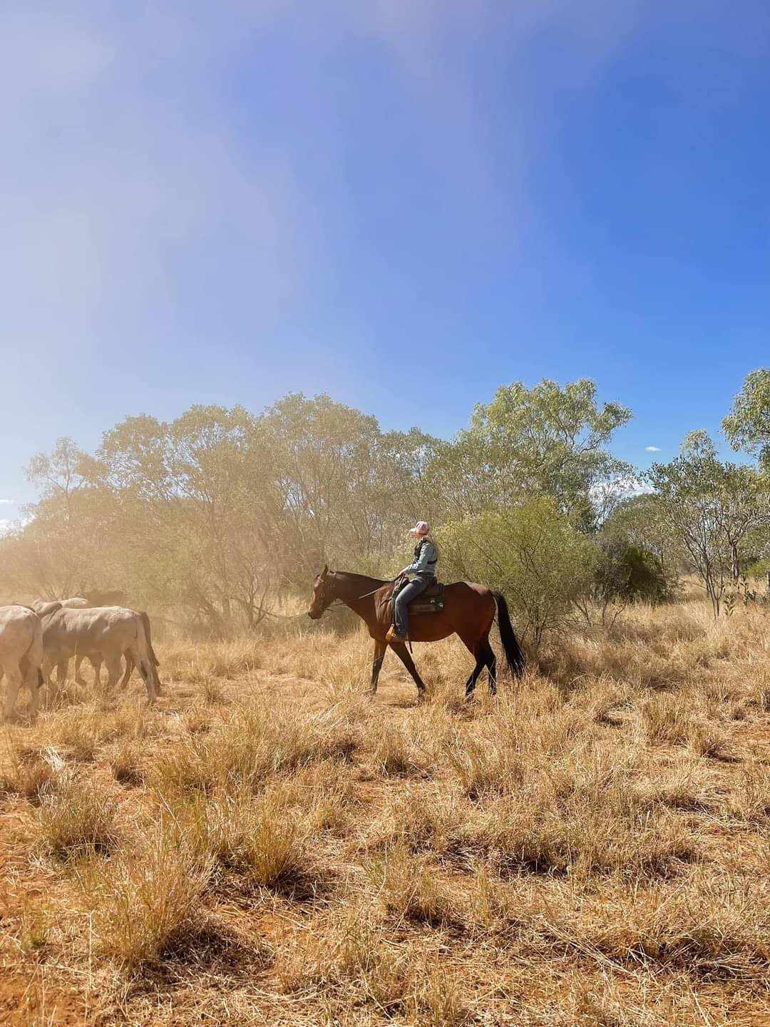 Staff - Cloncurry Vet Services